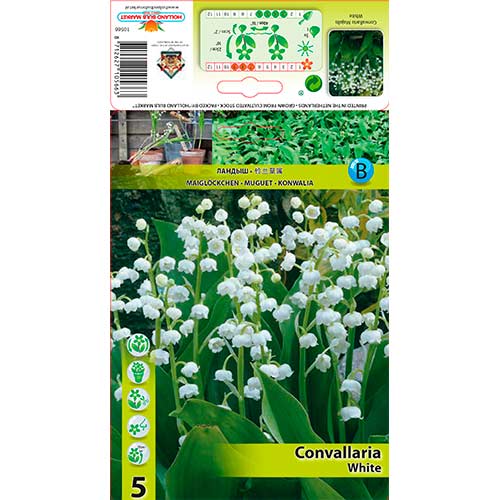 5 cib, Konvalinka White - : Monžstvo balíkov: 5 cib