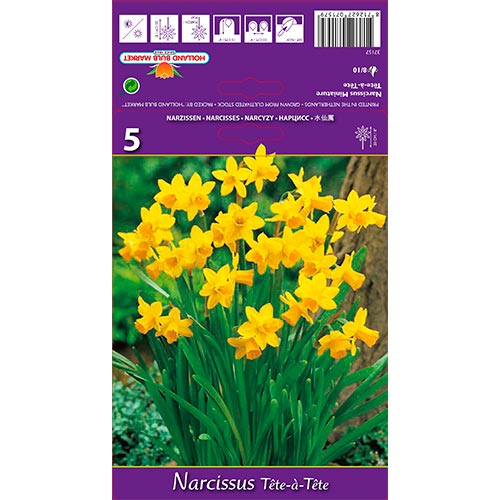 5 cib, Narcis Tete a Tete - : Monžstvo balíkov: 5 cib