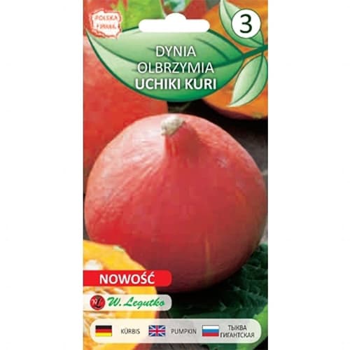 1 szt, Hokkaido - Kürbis Uchiki Kuri - Samen: Ilość w opakowaniu: 3 g