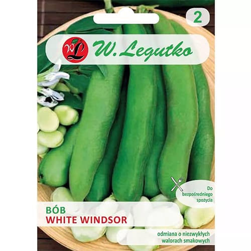 1 szt, Puffbohne Windsor Weiss - Samen: Ilość w opakowaniu: 50 g