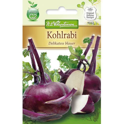 1 szt, Kohlrabi Delikatess blauer Chrestensen - Samen: Ilość w opakowaniu: 1 Stück