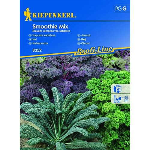 1 szt, Grünkohl Smoothie Mix - Samen: Ilość w opakowaniu: 1 Stück