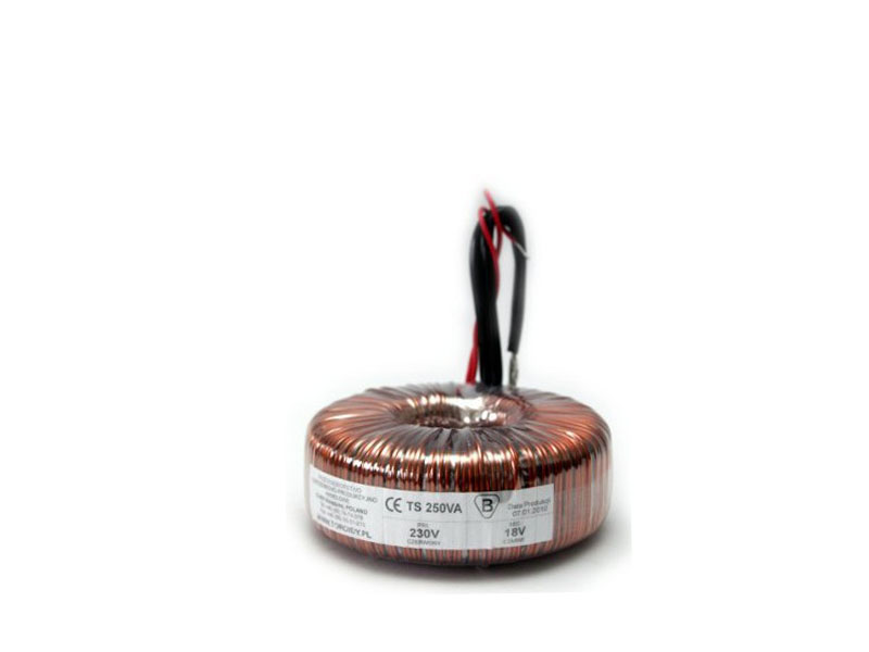 TTS0250 - Transformator TS250VA/230 - napięcie do 50 V