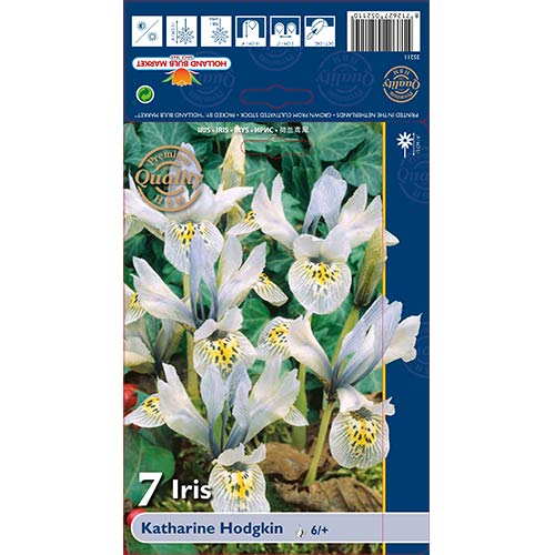 7 cib, Kosatec Katharine Hodgkin - : Monžstvo balíkov: 7 cib