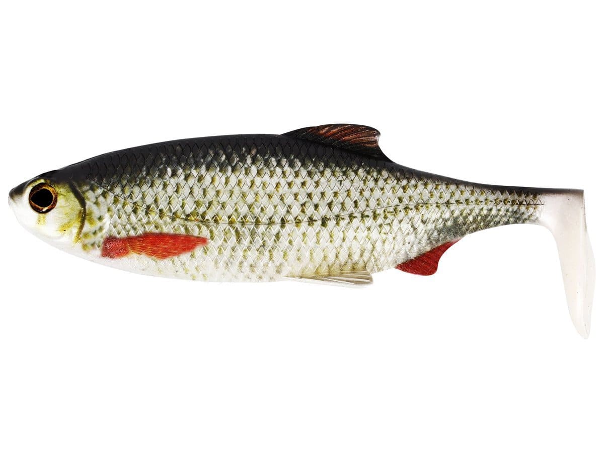 Westin Guma Ricky The Roach ShadTail 14cm Real Roach