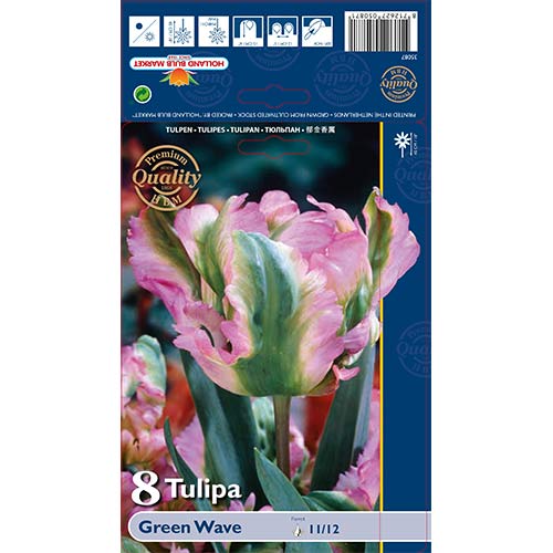 8 db, Tulipán Green Wave - Hagymák: Mod de ambalare: 8 db