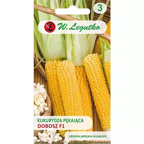 1 szt, Kukorica popcorn-hoz Dobosz F1 - Magok: Mod de ambalare: 10 g
