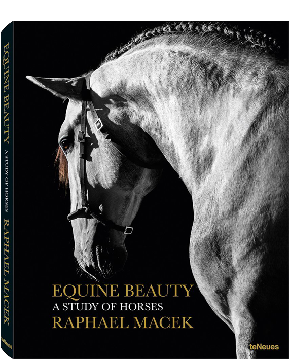 Raphael Macek. Equine Beauty