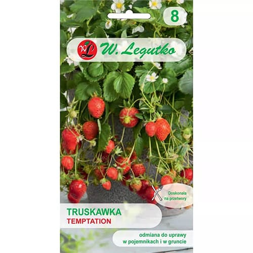 1 szt, Truskawka Temptation - Nasiona: Ilość w opakowaniu: 0.03 g