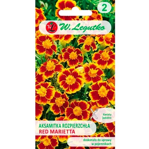 1 szt, Aksamitka Red Marietta - Nasiona: Ilość w opakowaniu: 1 g