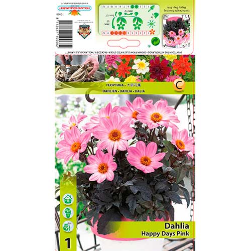 1 cib, Jiřina Happy Days Pink - : Monžstvo balíkov: 1 cib