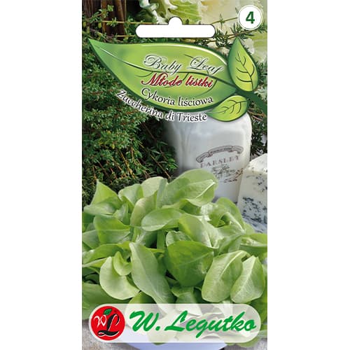 1 szt, Baby Leaf - Blattzichorie Zuccherina di Trieste - Samen: Ilość w opakowaniu: 1.5 g