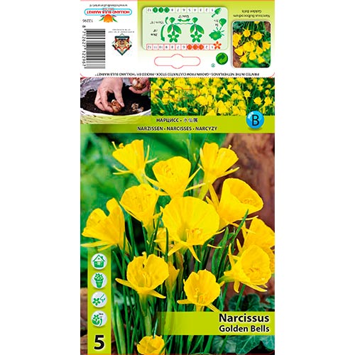 5 Stück, Narzisse Golden Bells - Blumenzwiebeln: Ilość w opakowaniu: 5 Stück