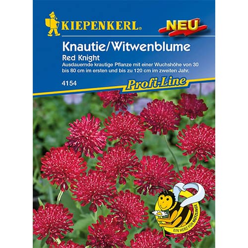 1 szt, Knautie / Witwenblume Red Knight - Samen: Ilość w opakowaniu: 1 Stück