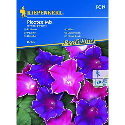 1 szt, Prunkwinde Picotee mix - Samen: Ilość w opakowaniu: 1 Stück