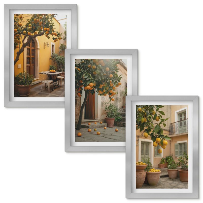 Obrazy do Salonu Wallfluent Ogród cytrusy słońce Srebrna rama 20x30cm 3 szt.