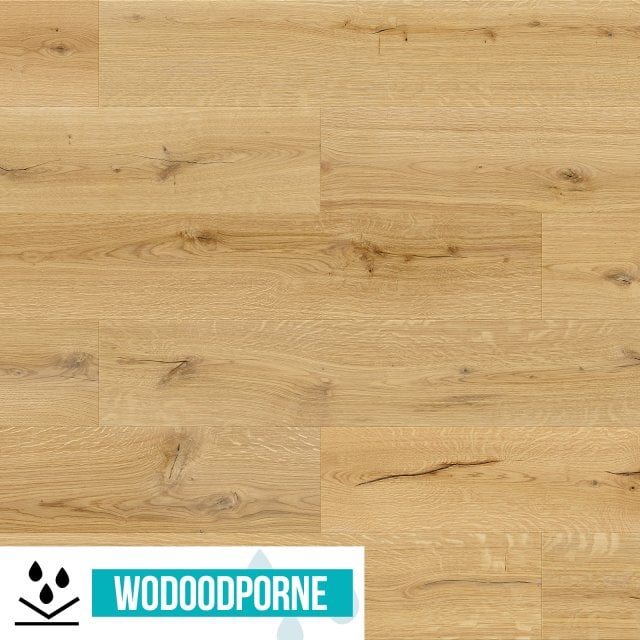 Panele winylowe SPC BARLINEK NEXO DĄB CLASSOR KL 34 5,5 mm