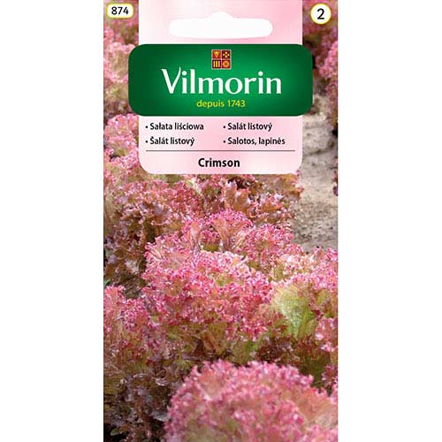 1 szt, Sałata liściowa Crimson Vilmorin - Nasiona: Ilość w opakowaniu: 1 g