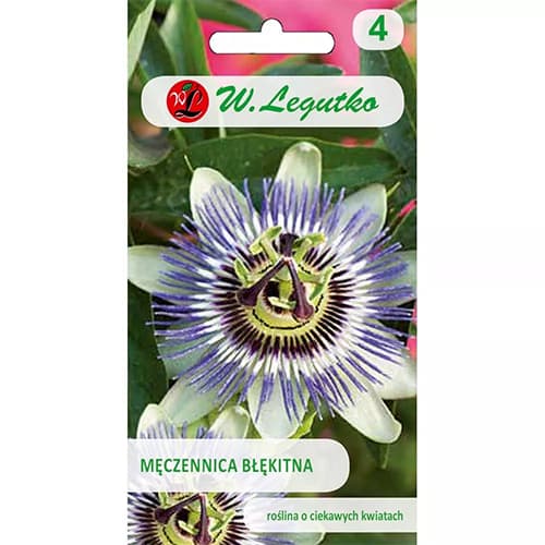 1 szt, Passiflora niebieska - Nasiona: Ilość w opakowaniu: 0.2 g