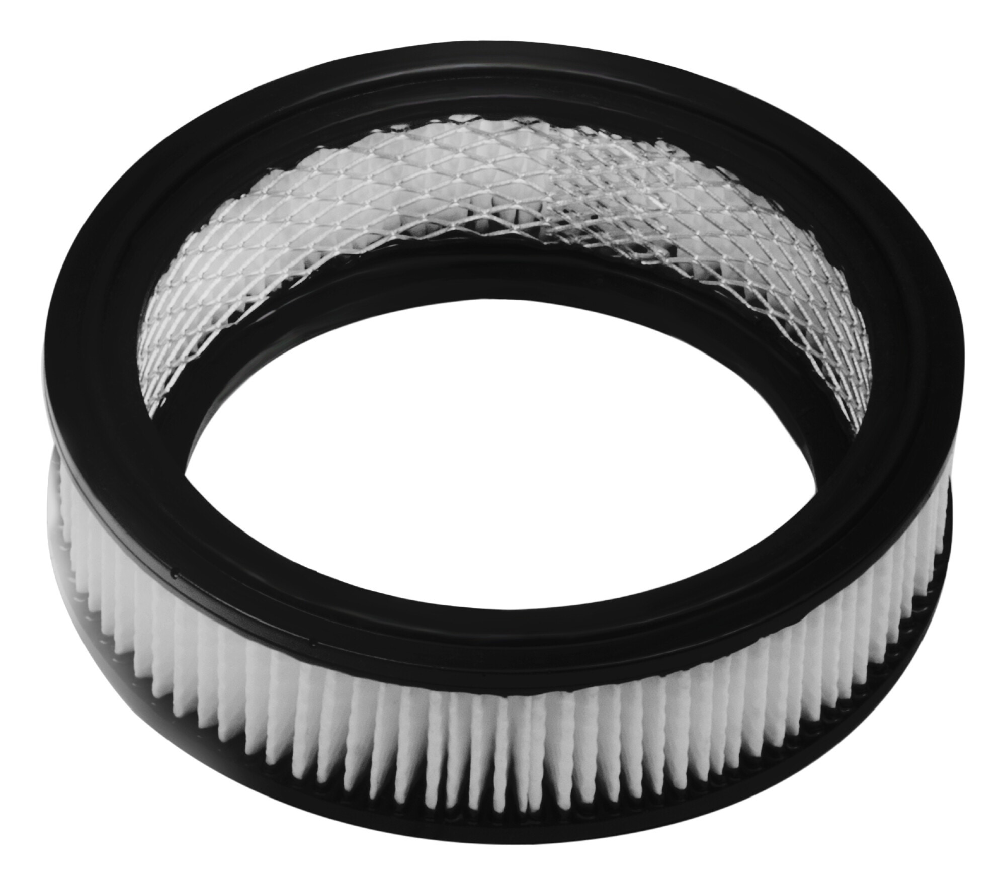 Filtr HEPA APV1006 do odkurzacza Amica