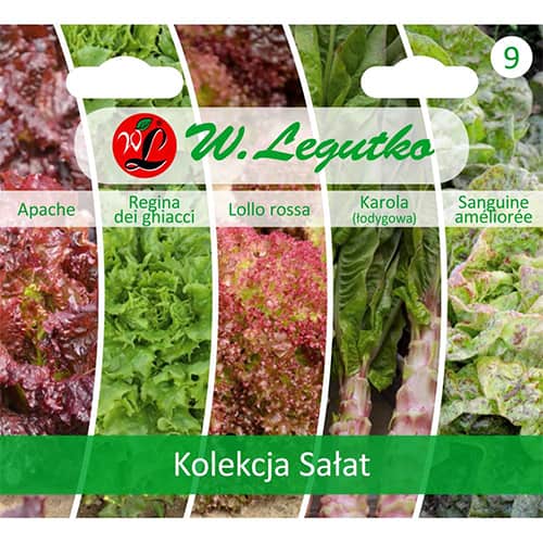 1 szt, Kolekcja Sałat, 5 odmian - Nasiona: Ilość w opakowaniu: 1 opak