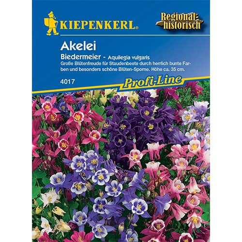 Orlíček trpasličí Biedermeier - : Monžstvo balíkov: 1 ob