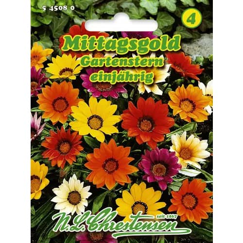 Gazánia žiarivá Gartenstern, zmes - : Monžstvo balíkov: 1 ob