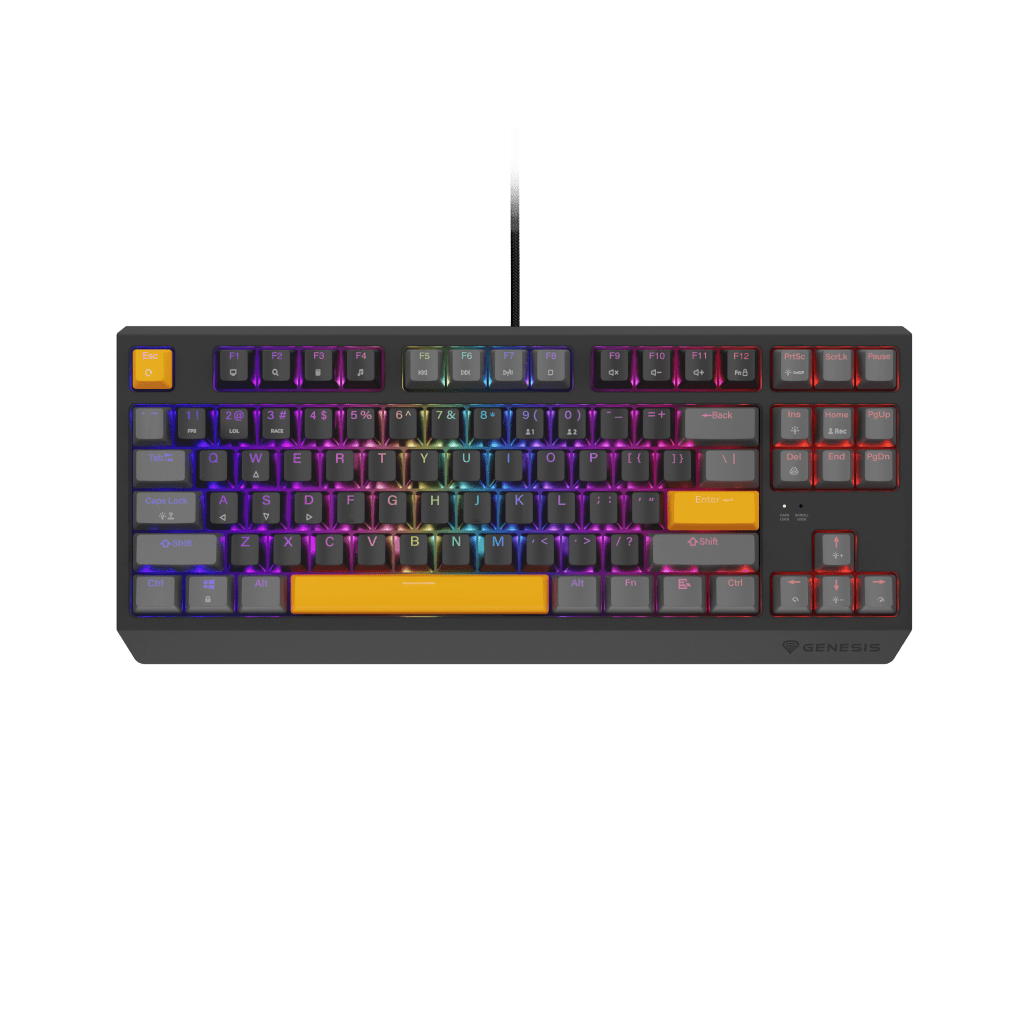 Thor 230 TKL Anchor Gray Positive (Outemu Red)