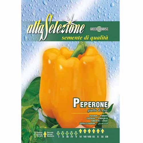 1 szt, Paprika Giallo d'Asti - Magok: Mod de ambalare: 1 db