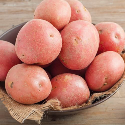 1 kg, Vetőburgonya Red Scarlett - Gumók: Mod de ambalare: 1 kg