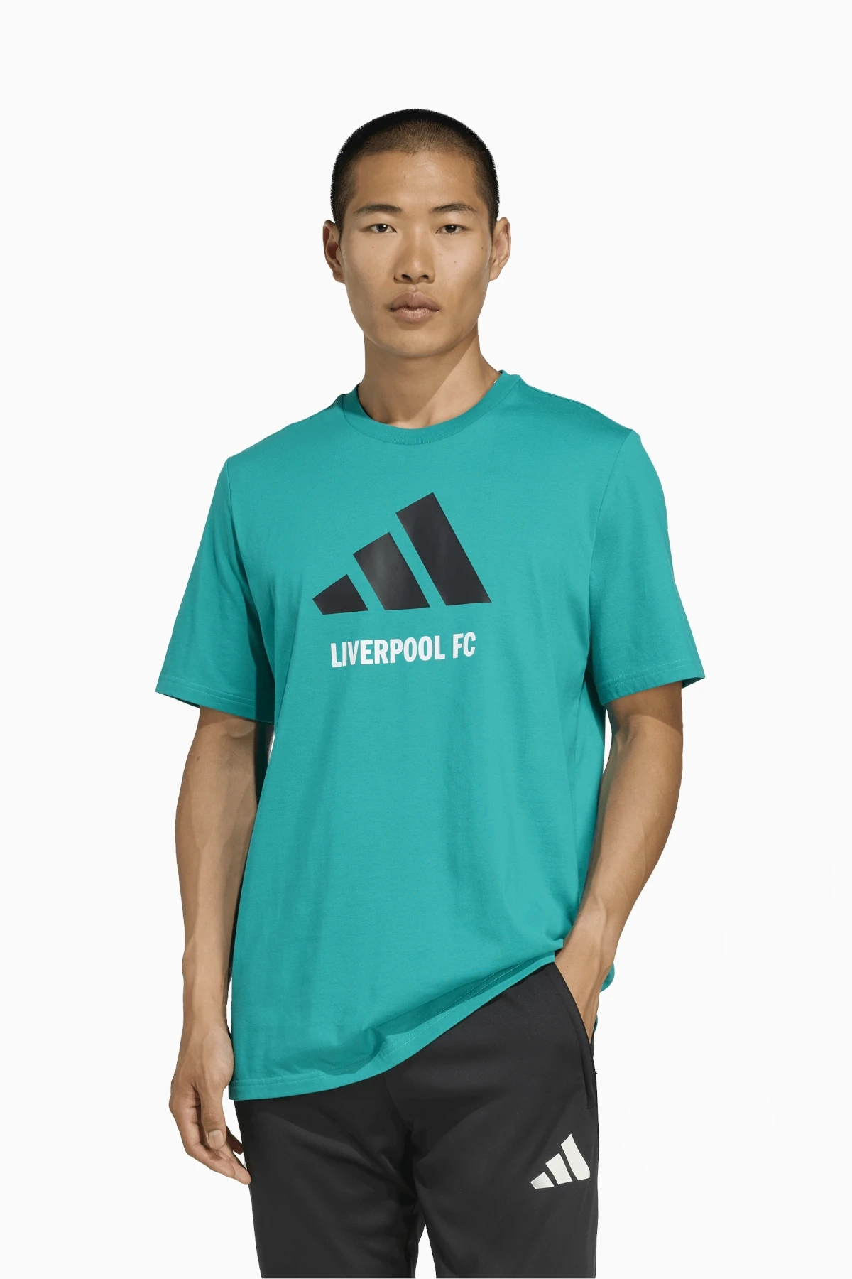 Koszulka adidas Liverpool FC 25/26 Seasonal Graphic Tee - Miętowy