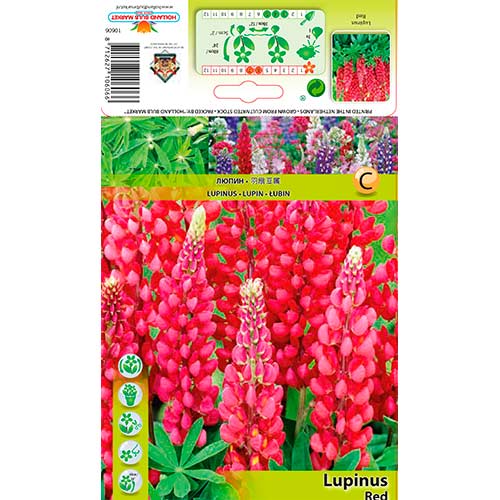 3 cib, Lupina mnoholistá červená - : Monžstvo balíkov: 3 cib
