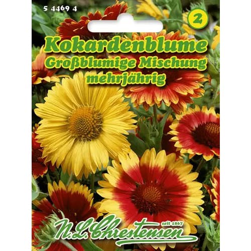 1 szt, Kokárdavirág nagy virágokkal, színkeverék - Magok: Mod de ambalare: 1 db