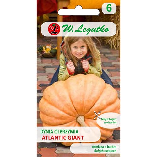 1 szt, Tök gigant Atlantic Giant - Magok: Mod de ambalare: 3 g