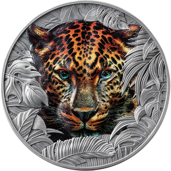 Srebrna moneta Urodzony by być dzikim: Leopard 1 uncja 2026 - wysyłka 24 h! - Mennica Skarbowa
