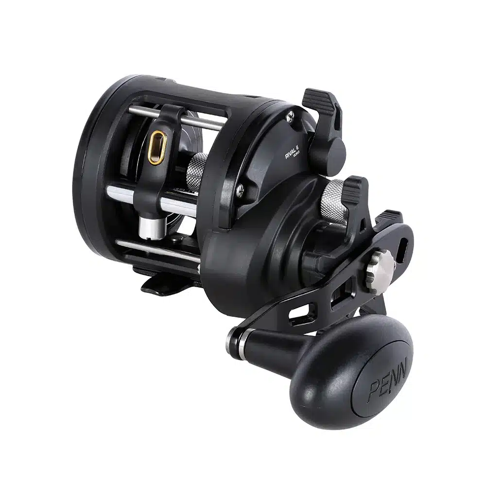 PENN Multiplikator Rivall II Level Wind 20LWLH