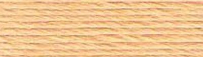 mulina DMC kol.3855