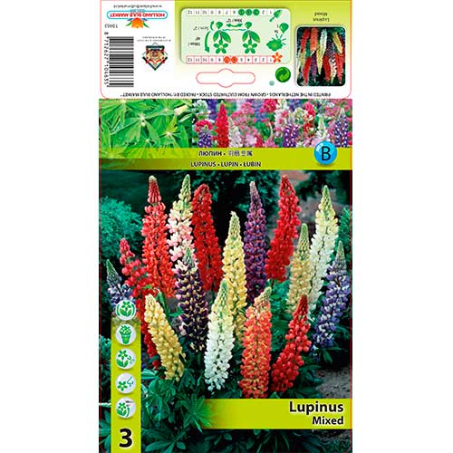 3 buc, Lupin mix multicolor - Bulbi: Mod de ambalare: 3 buc