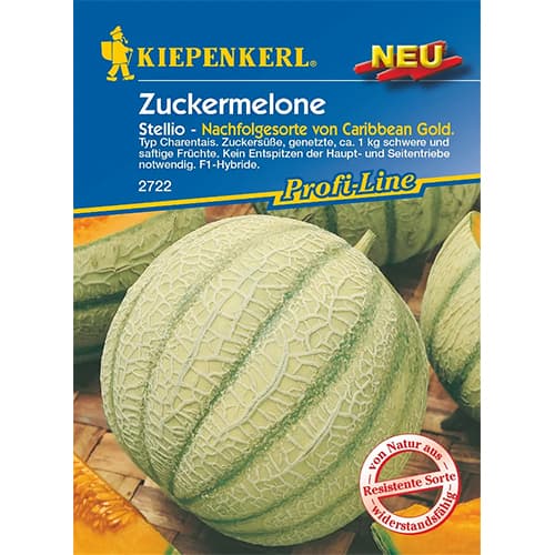1 szt, Dinnye Stellio F1 - Magok: Mod de ambalare: 1 db