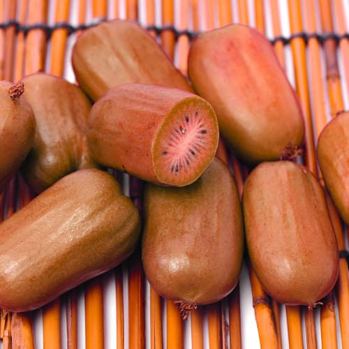 1 Pflanze(n), Kiwi Ken's Red, P9 - Setzlinge: Ilość w opakowaniu: 1 Pflanze(n)
