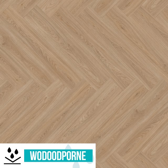 Panele winylowe SPC BARLINEK NEXO LIVING DĄB CALMA JODEŁKA KL 33 5 mm