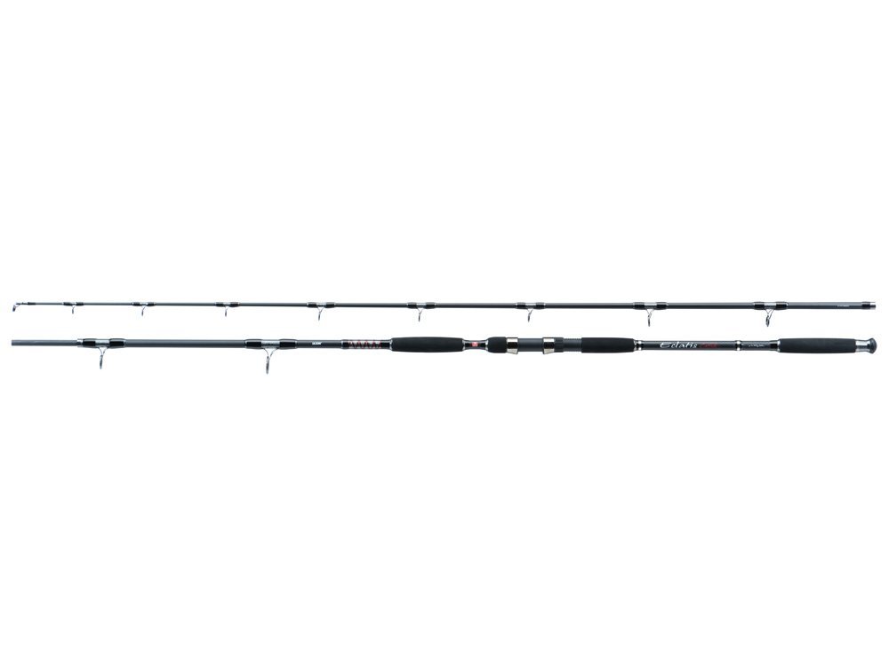 Jaxon Wędka Eclatis Catfish 300cm 550g