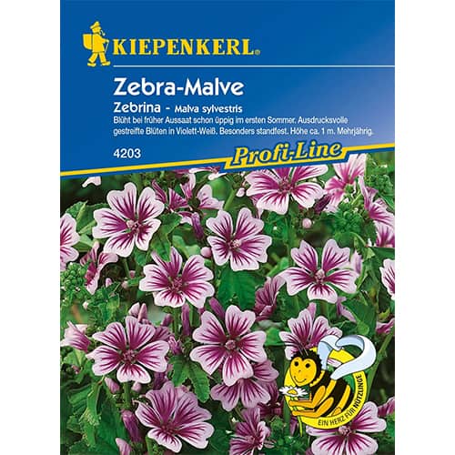 1 szt, Mályvarózsa Zebrina - Magok: Mod de ambalare: 1 db