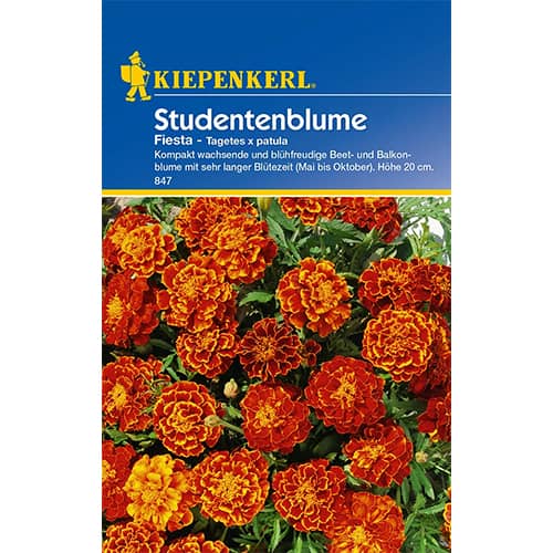 1 szt, Tagetes Fiesta - Samen: Ilość w opakowaniu: 1 Stück