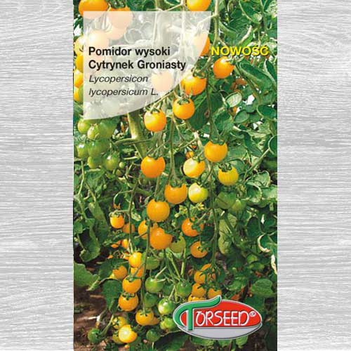 1 szt, Pomidor wysoki Cytrynek Groniasty - Nasiona: Ilość w opakowaniu: 0.1 g