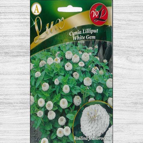 1 szt, Cynia wytworna Liliput White Gem - Nasiona: Ilość w opakowaniu: 0.5 g