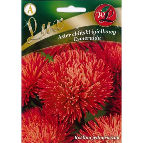 1 szt, Aster chiński igiełkowy Esmeralda - Nasiona: Ilość w opakowaniu: 0.5 g