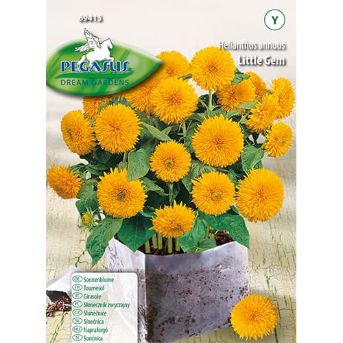 1 pac, Floarea soarelui decorativă Little Gem - Semințe: Mod de ambalare: 1 pac