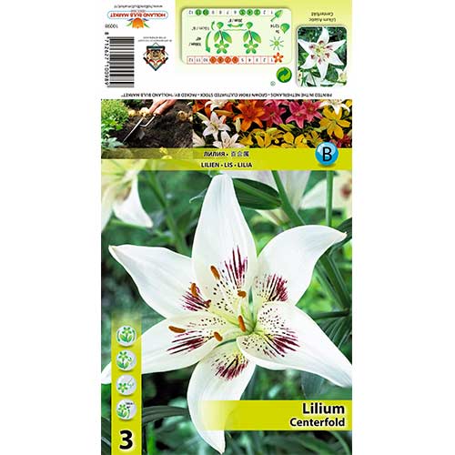 3 cib, Ľalia Centerfold - : Monžstvo balíkov: 3 cib