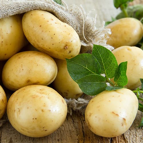 1 kg, Vetőburgonya Colette - Gumók: Mod de ambalare: 1 kg